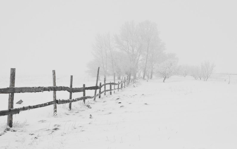 winter